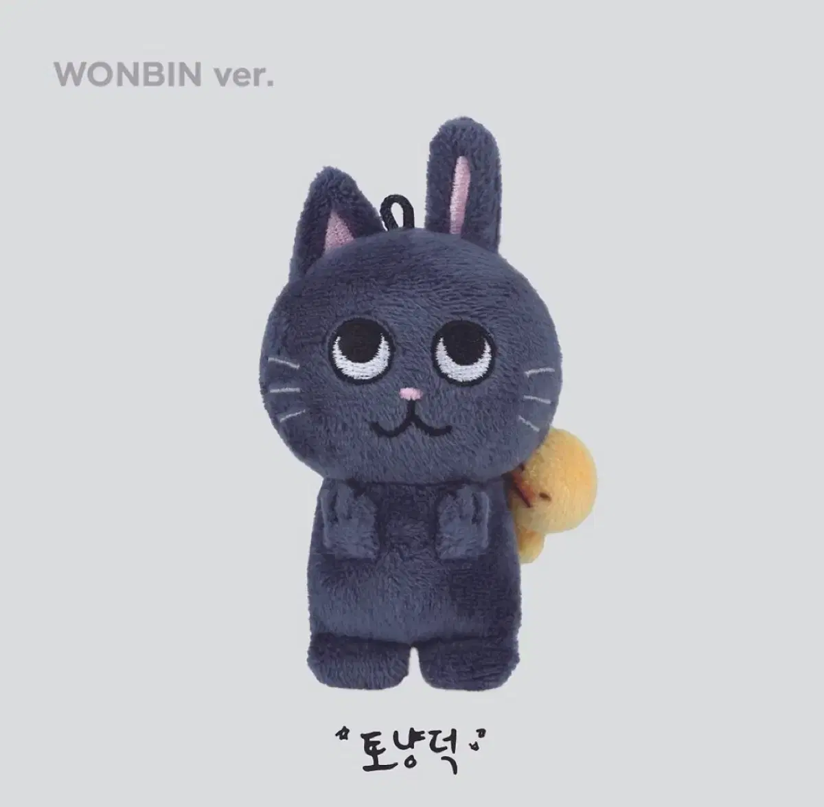 (새상품) riize 토냥덕 10cm doll 원가 wts wonbin