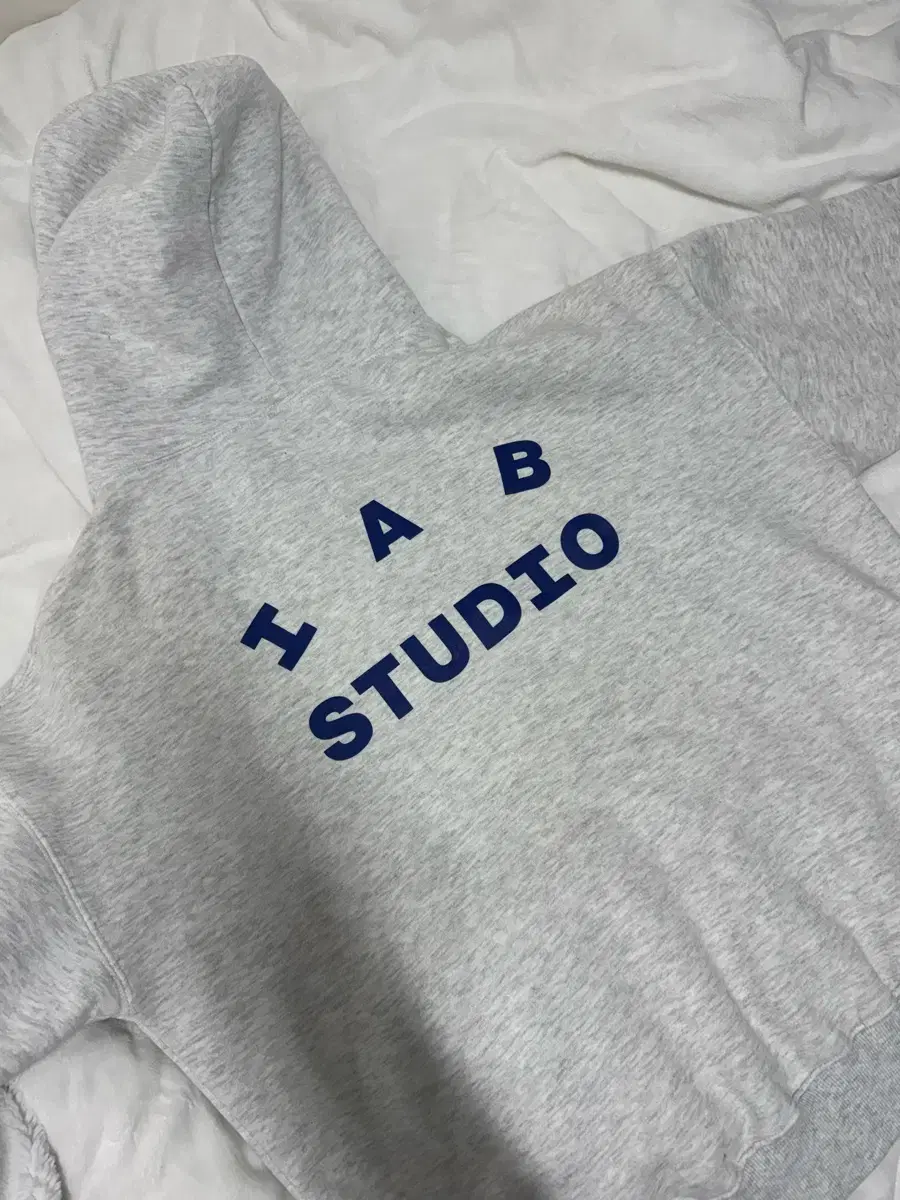 iappstudio hoodie XL light gray