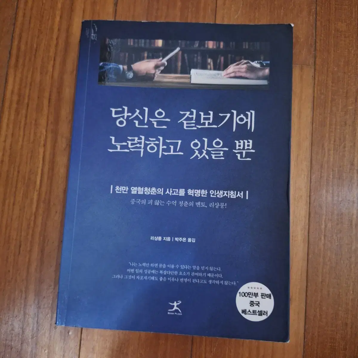 # 당신은 겉보기에 노력하고 있을 뿐(리상룽)