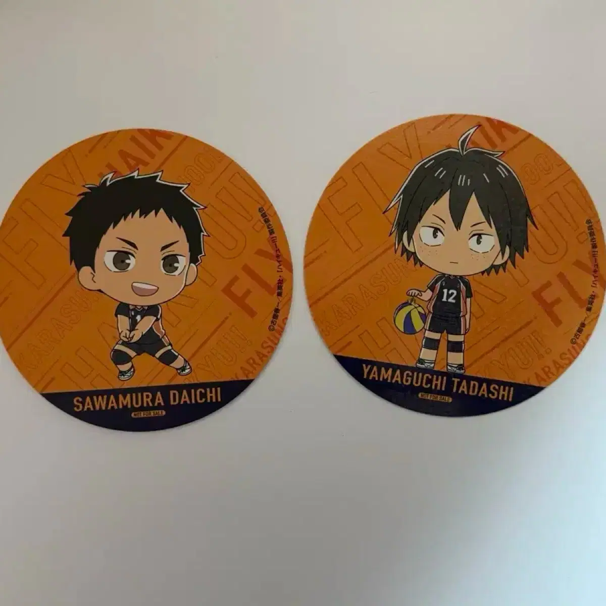 Haikyuu Animated Coaster