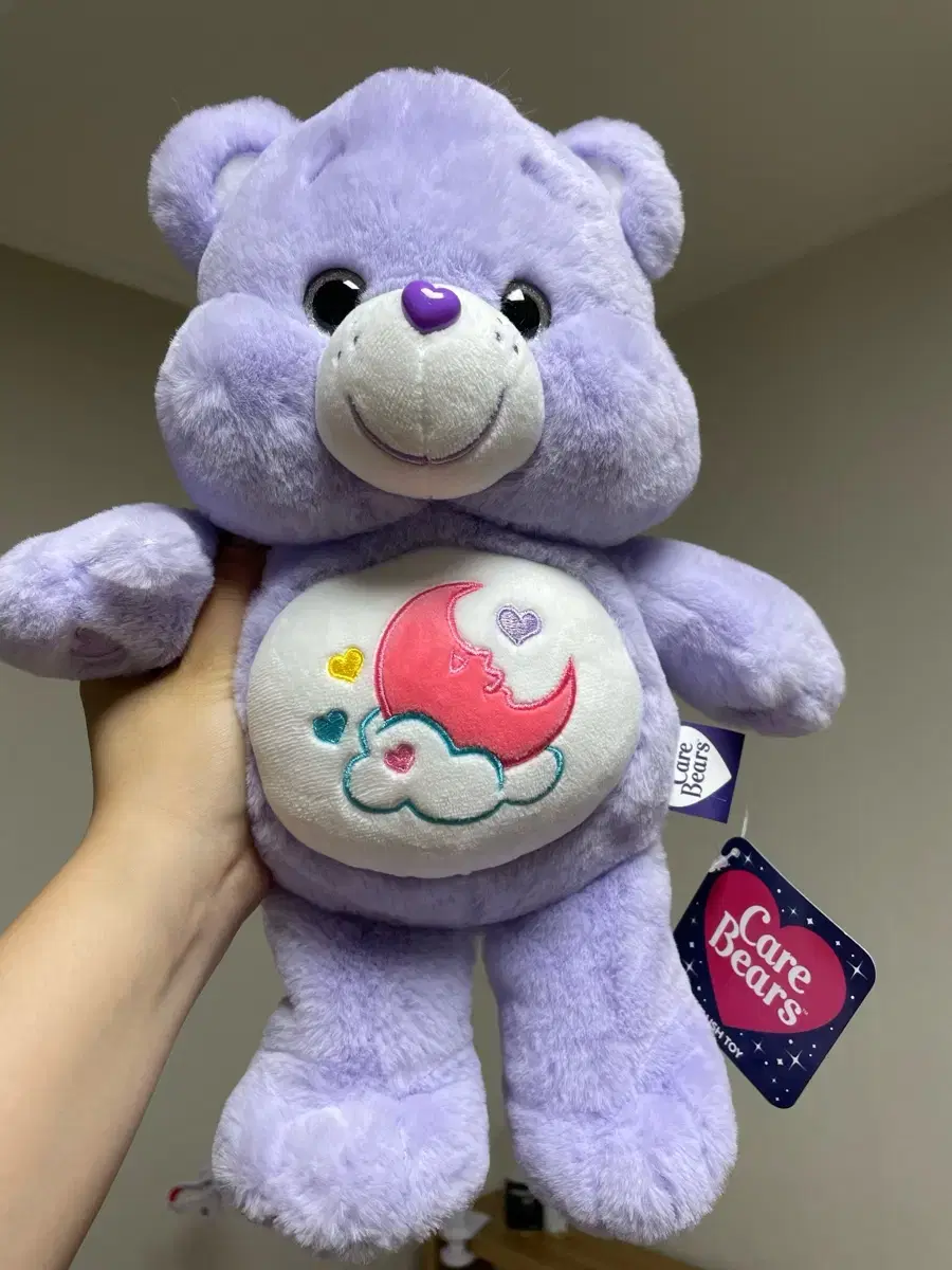 (NEW) Care Bear Medium Doll