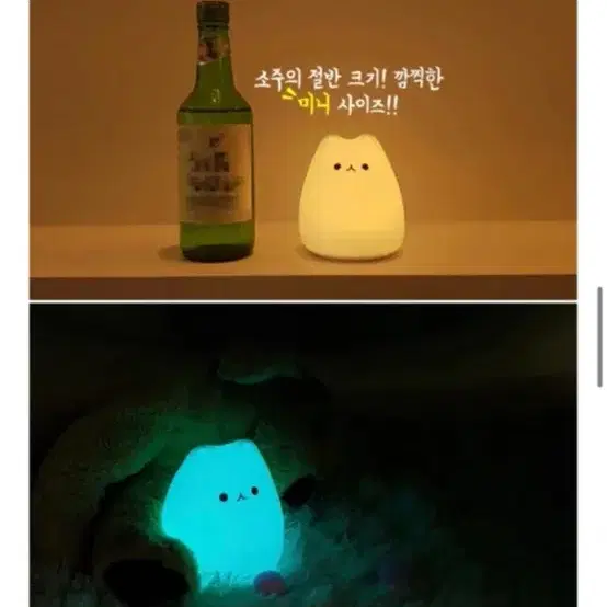 아기고양이 무드등