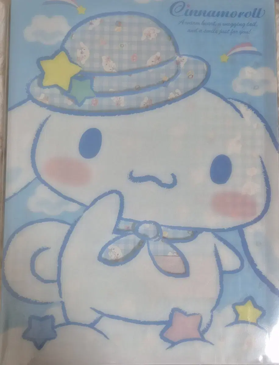 San Rio Shooting Background Sheet File Cinnamoroll Ichigo Newspaper Storage B4 Size