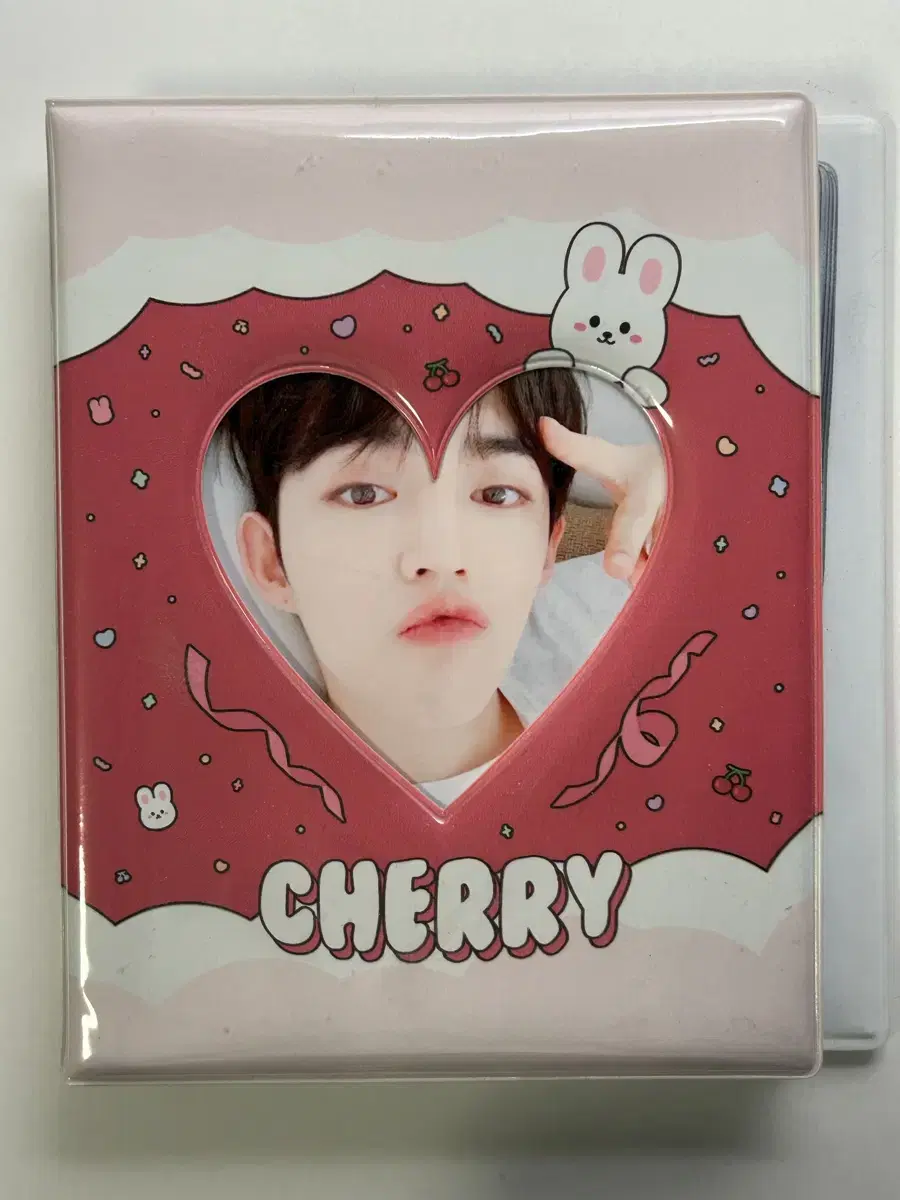 Idol seventeen s.coups Cherry photocard collect book Collectbook