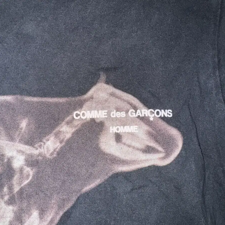 Comme des GARCONS HOMME