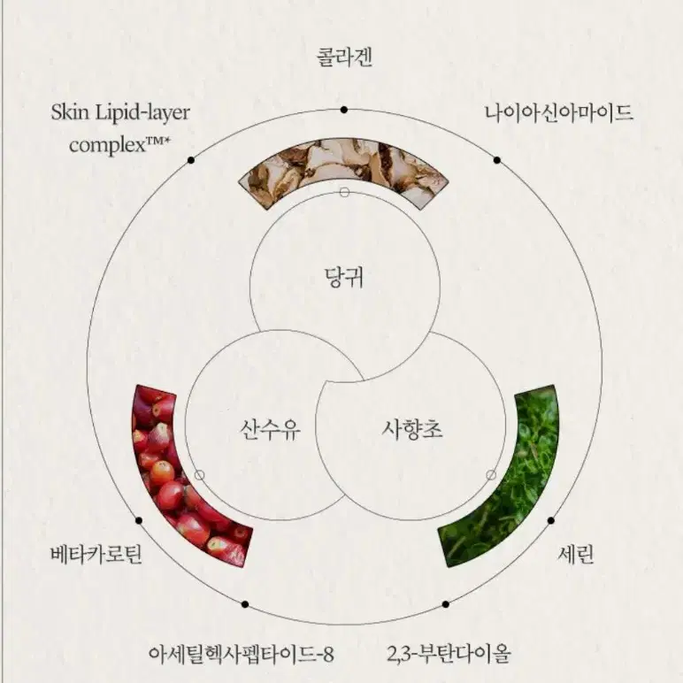 예화담 환생고 보윤 앰플 에센스, 아이크림 세트 미개봉 새제품