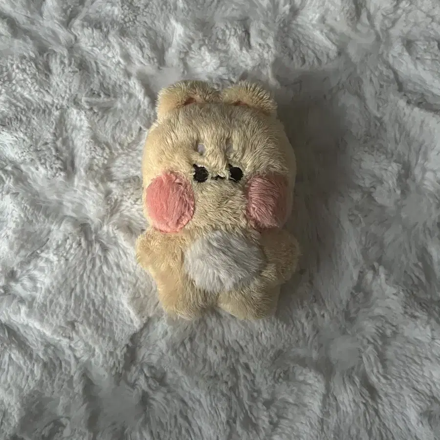 아이브 레이 10cm 인형 옥수니