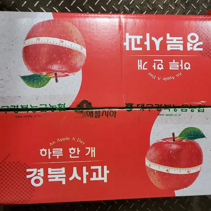 (산지직송) 햇부사 판매합니다 맛보장