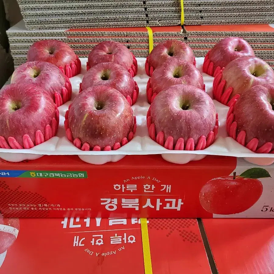 (산지직송) 햇부사 판매합니다 맛보장