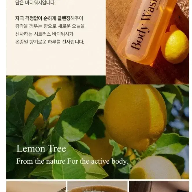 새상품) 웰더마 라이프 레몬트리 약산성 퍼퓸 바디워시, 1L