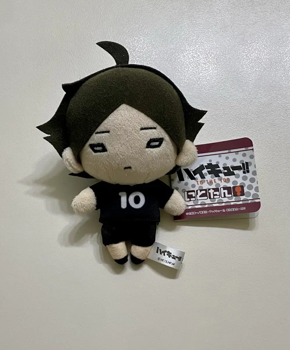 Haikyuu doll Sunarintaro Nitotan