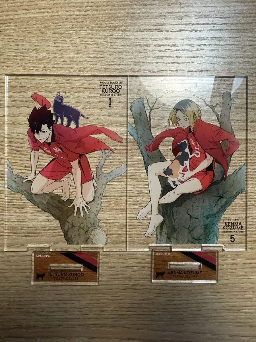 Haikyuu Kenma Kuroo Barefoot acrylic bulk WTS