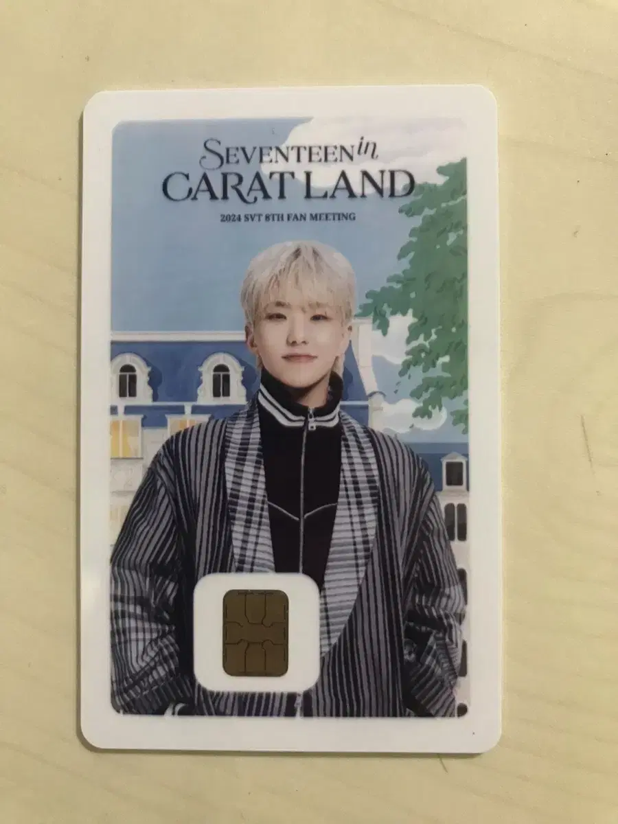 Seventeen hoshi namanekard wts