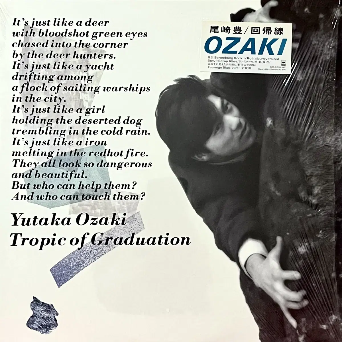 뉴웨이브LP 오자키 유타카 Yutaka Ozaki -회귀선