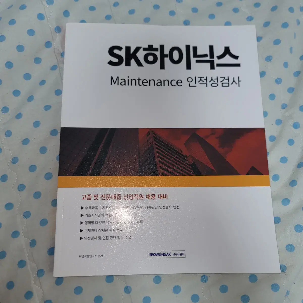 sk하이닉스 메인트 인적성