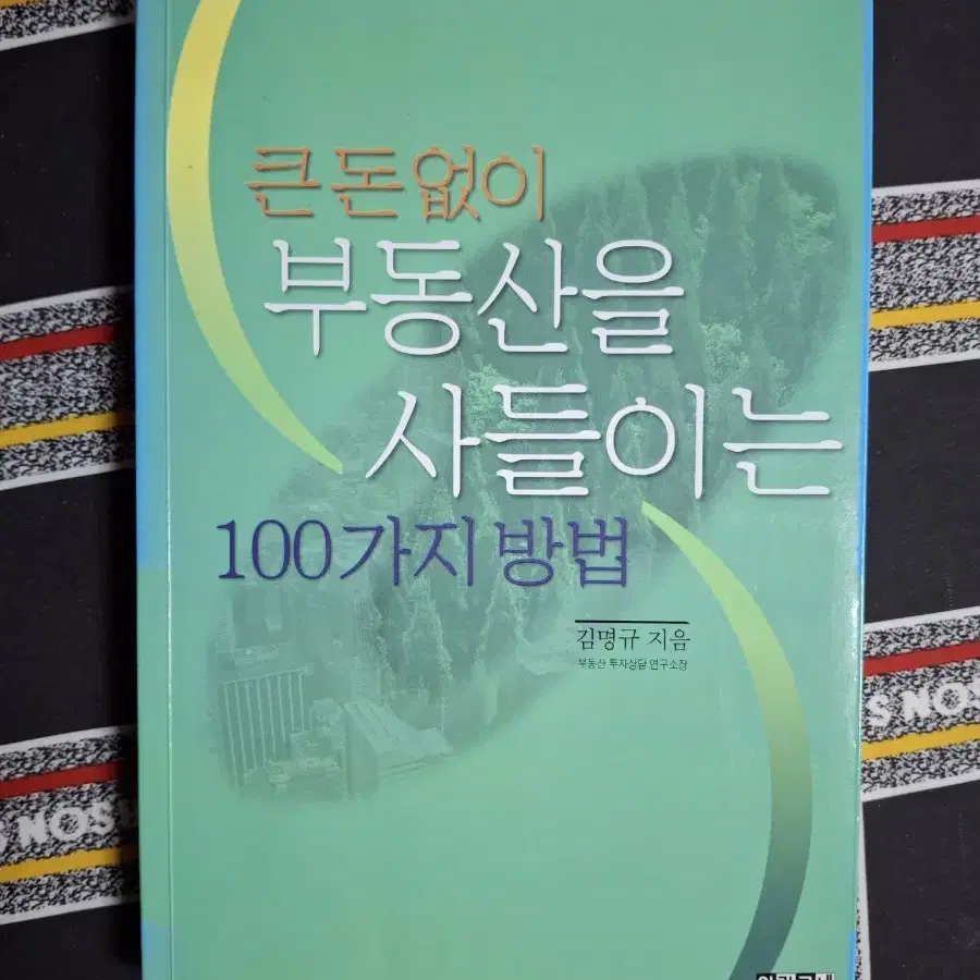 (김명규 지음) 큰 돈없이 부동산을 사들이는 100가지 방법