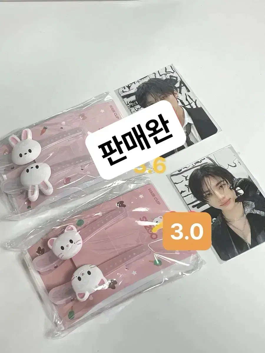 Skzoo Leavitt, Jini Let hair clip with photocard / straykids Lee, Hyunjin