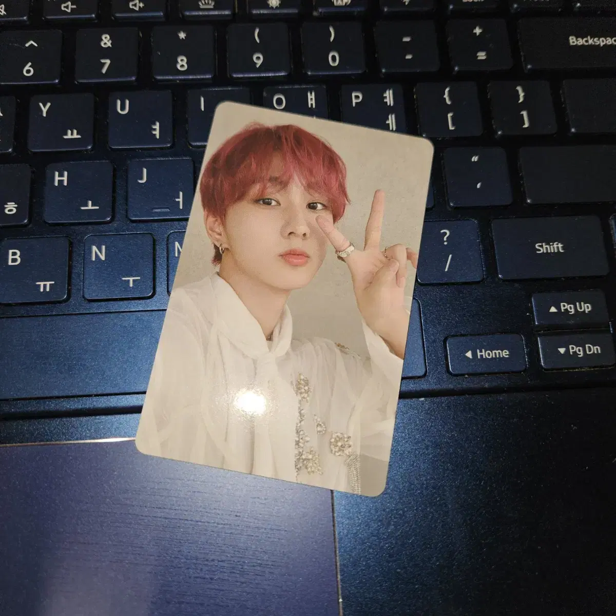 Enhypen jungwon Sadame Standard Photocard