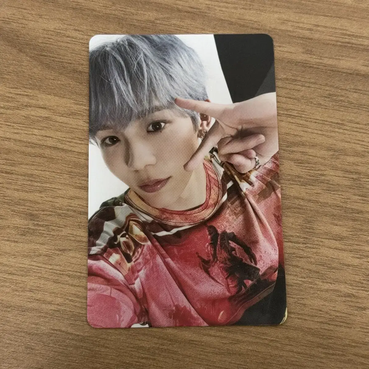 Rize shotaro photocard Japan riizing day concert SHOTARO