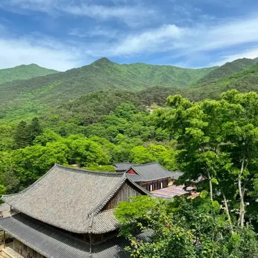 네셔널지이오 그래픽 남성