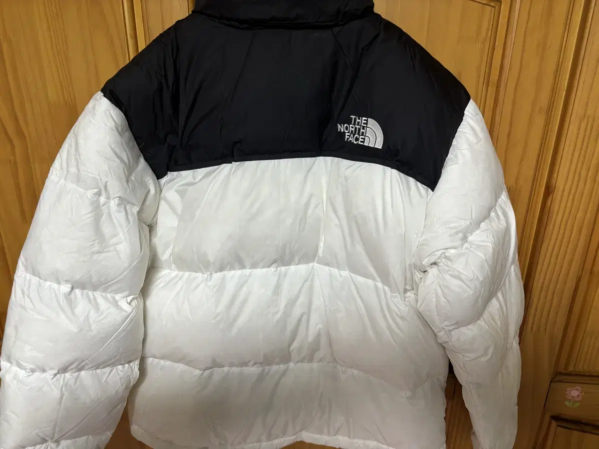 The North Face Padded 1996 Echo Knoopsie