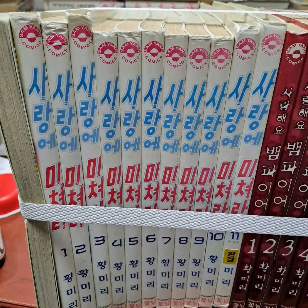 사랑에 미쳐라 1-11 완