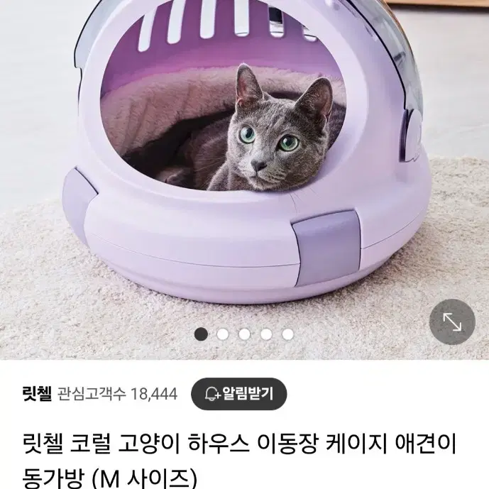 릿첼 코럴 고양이 하우스 이동장m