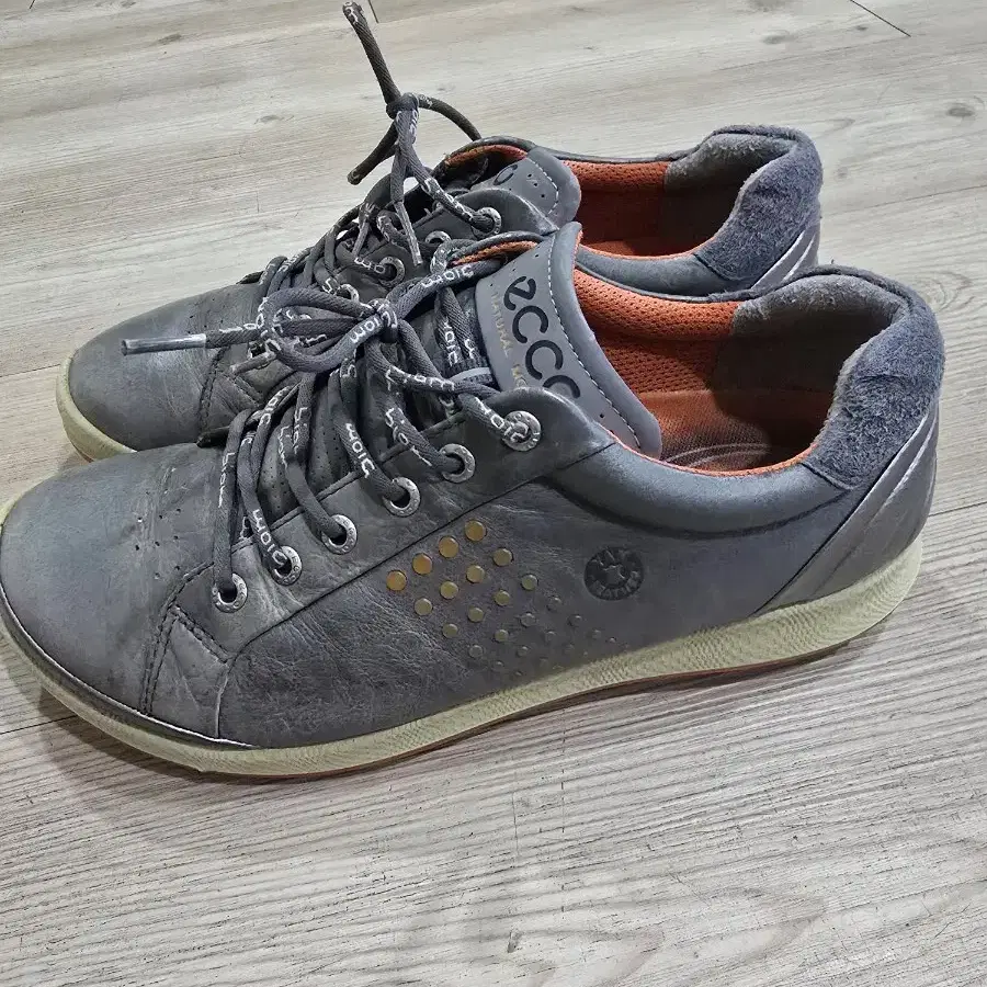 ECCO GOLF 스파이크리스 골프화 260~5MM