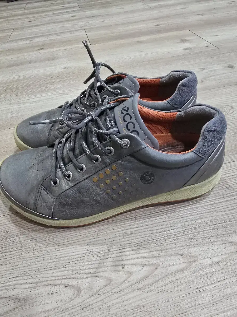 ECCO GOLF 스파이크리스 골프화 260~5MM