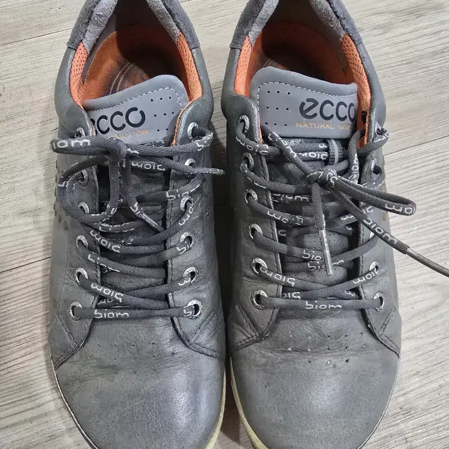 ECCO GOLF 스파이크리스 골프화 260~5MM