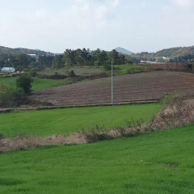 전남 무안읍 토지 매매합니다.