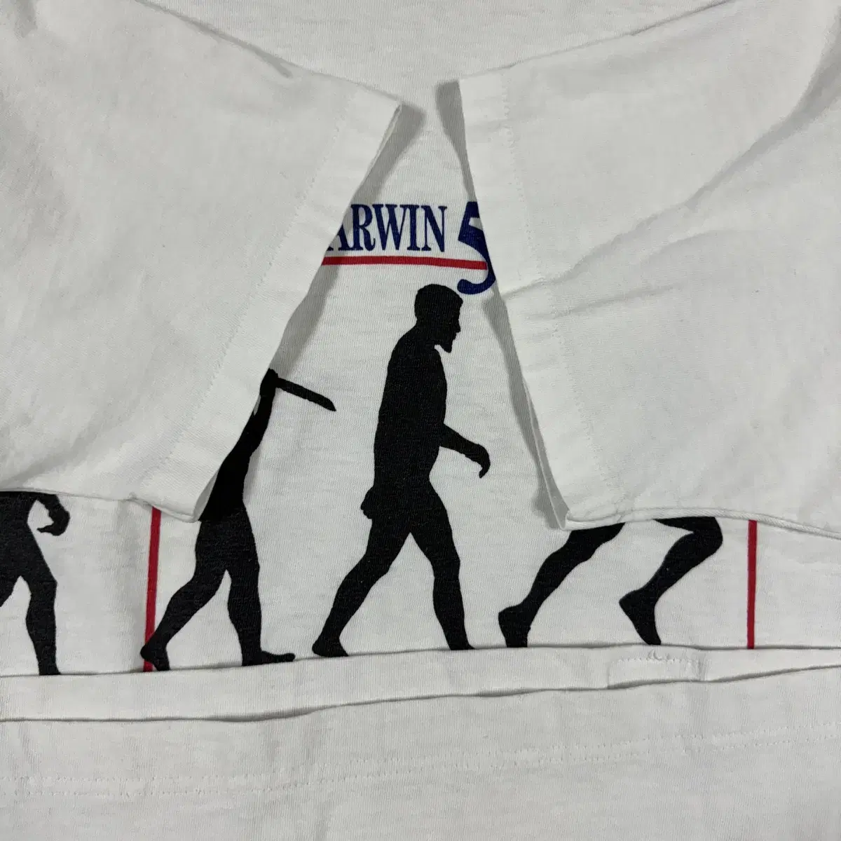 Vintage 90s Chuck Darwin Tee