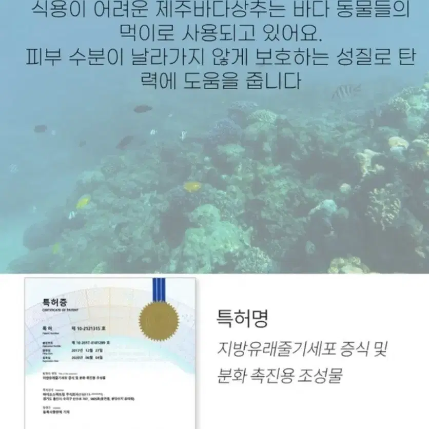 가볍지만 확실한 영양 시카 티트리 5종보습 홍조 여드름 모공 에센스토너