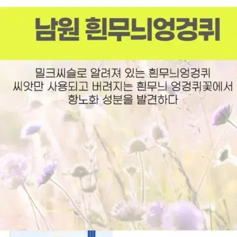 가볍지만 확실한 영양 시카 티트리 5종보습 홍조 여드름 모공 에센스토너