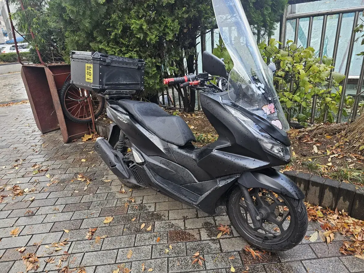 혼다 pcx125 abs 21년식