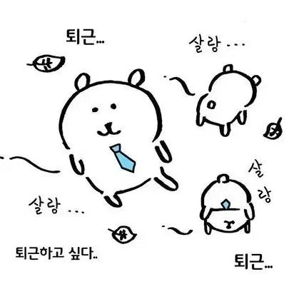 산즈 비공&공굿 일괄 판매(급처)