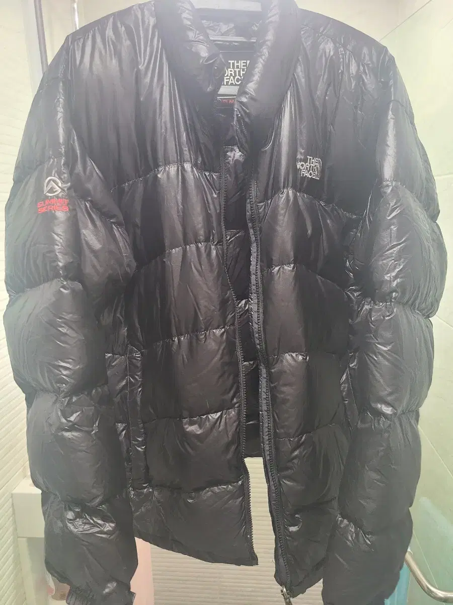 The North Face Acorn 100L Summit