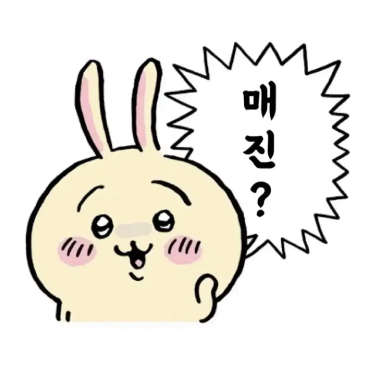 치이카와 흑화 매지컬 흑매지컬 우사기 마스코트 인형
