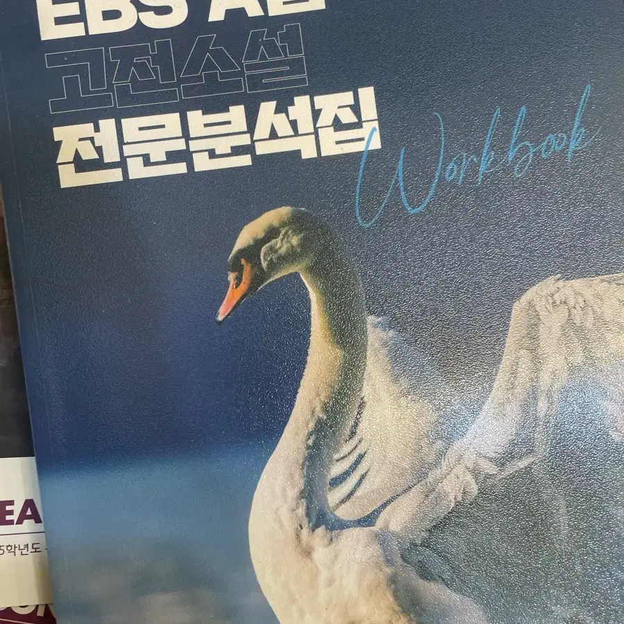 전형태 EBS A급 고전소설 전문 분석집 새상품