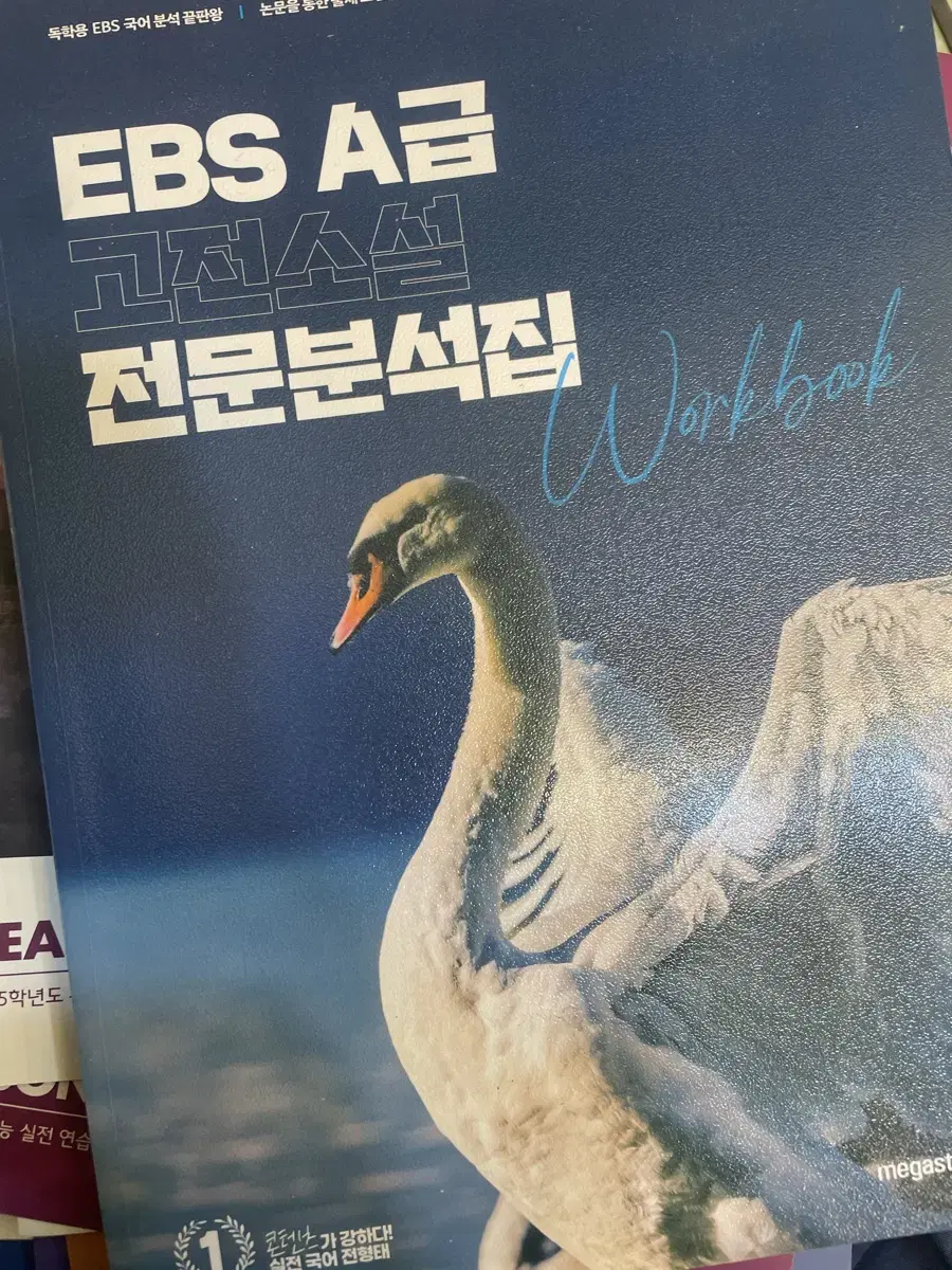 전형태 EBS A급 고전소설 전문 분석집 새상품