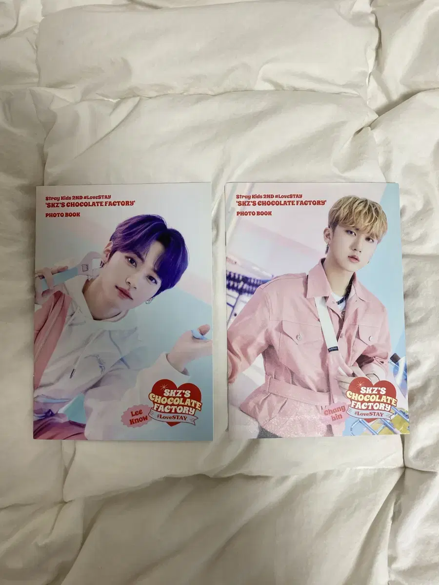 Straykids fanmeeting photobook