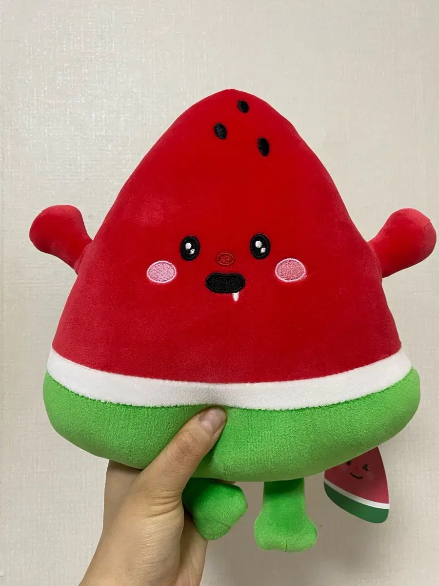 (New, plastic packaging) Mochi Watermelon Medium Doll, Watermelon Doll