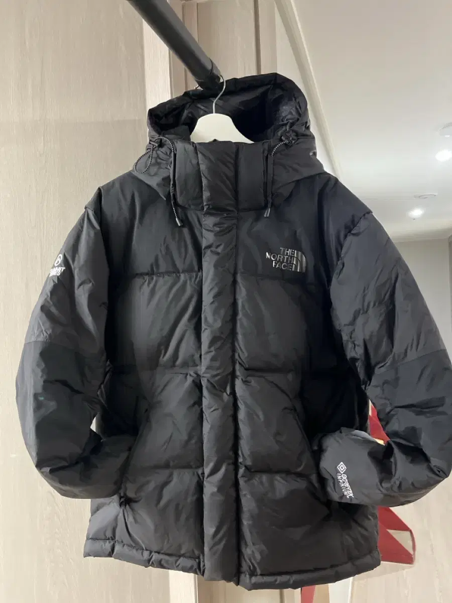 The North Face Summit Series Gore-Tex Shin Minah Padded New