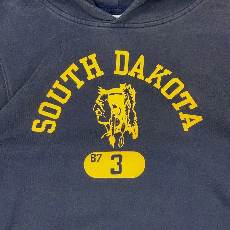 CHAMPION "SOUTH DAKOTA" Hooded Sweat