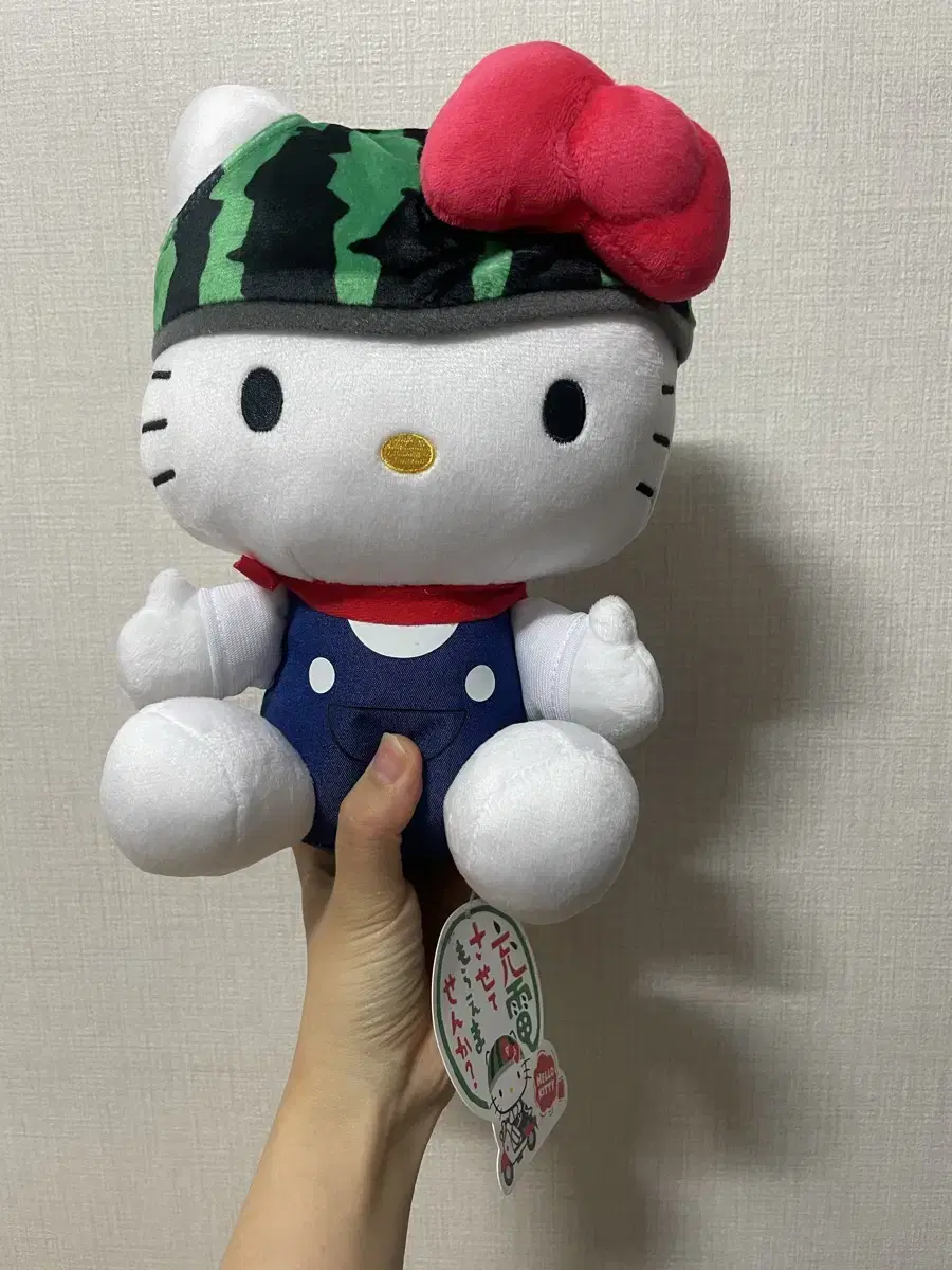 Classic Kitty Watermelon Kitty Plush Doll