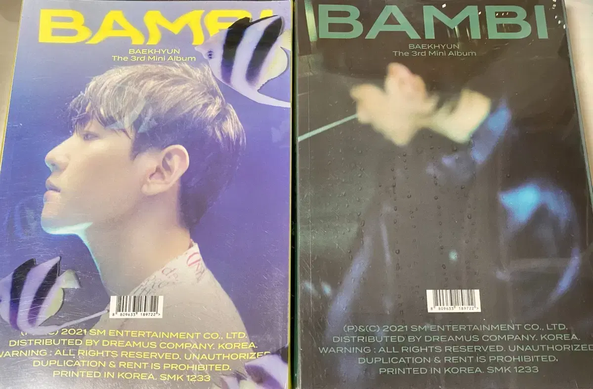 baekhyun bamby album wts