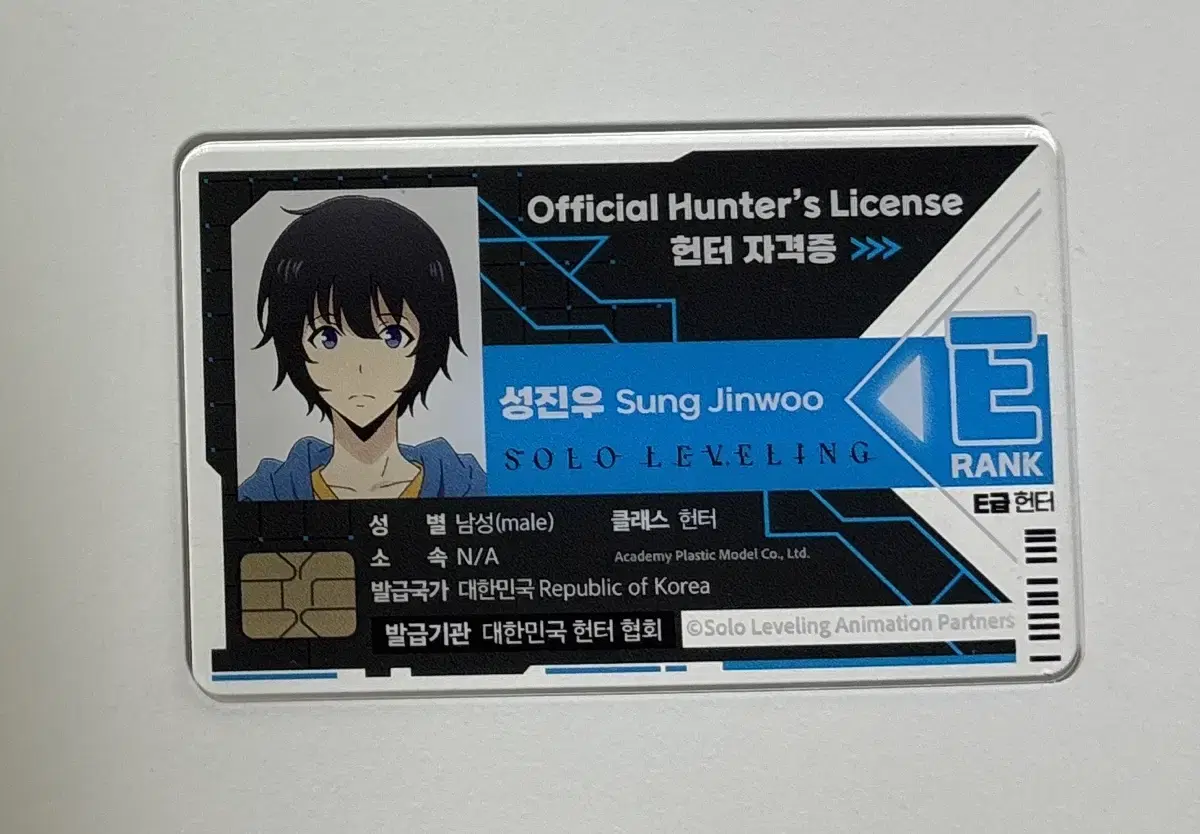 Nahonlep Sung Jin Woo hunter Certification Acrylic