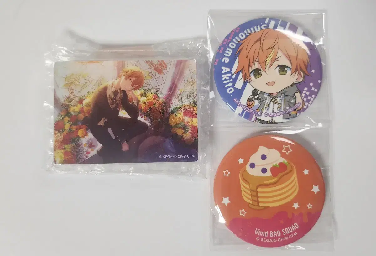 Prosecco Prosecco Shinonome Akito 18th Noble Art + Can Badge in Bulk