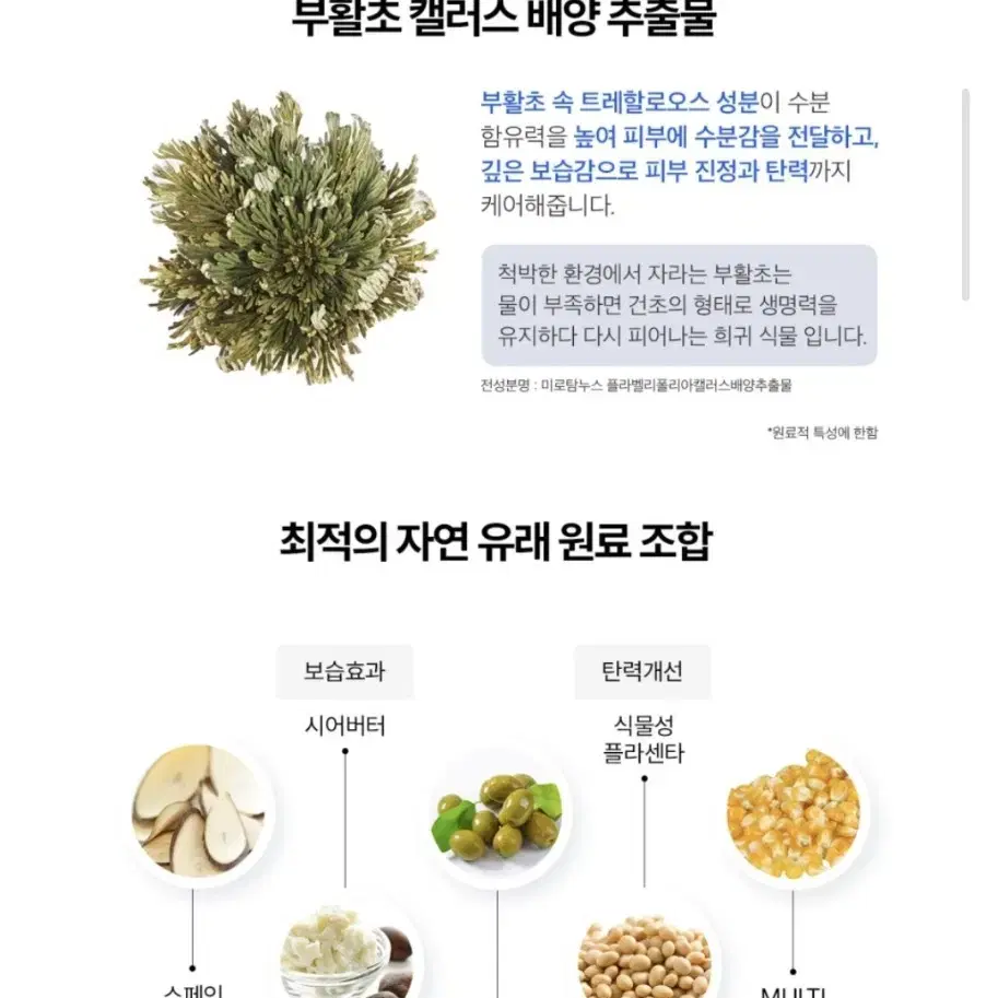 듀얼소닉 빅사이즈 비건 스킨 셀 엘릭시르 토너 패드 60매