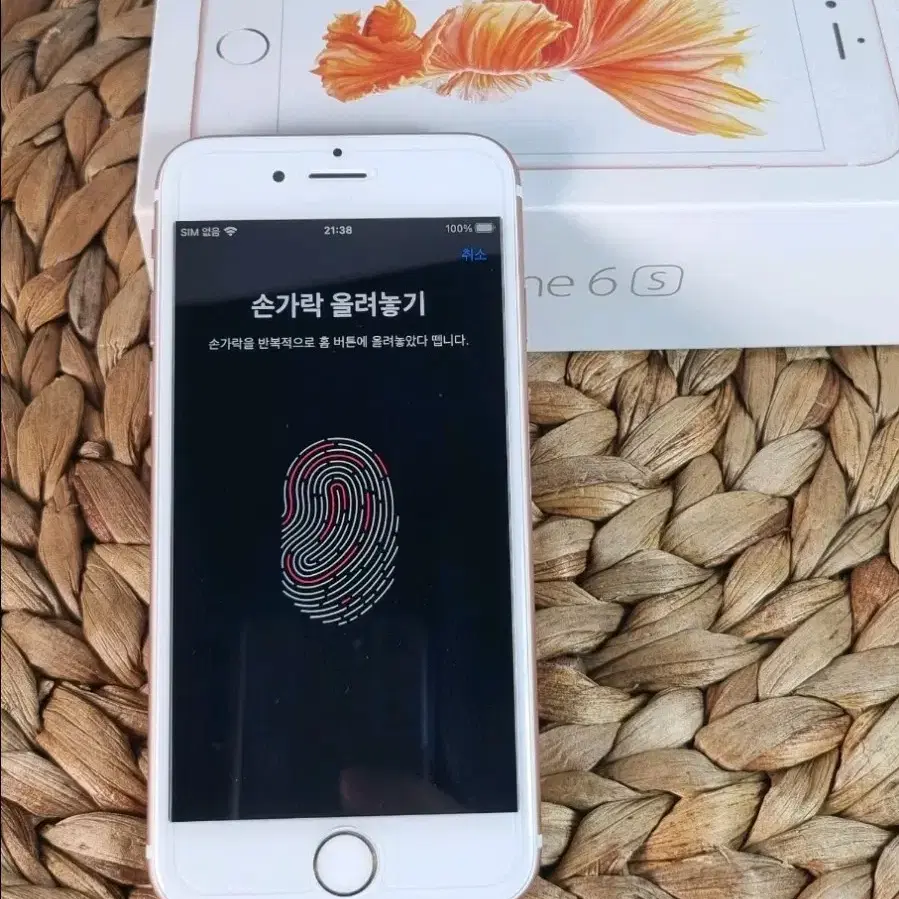 아이폰6s 로즈골드 카메라 예술! S급제품